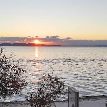 Nico Zadar