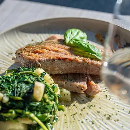 酒店 Nico 扎达尔